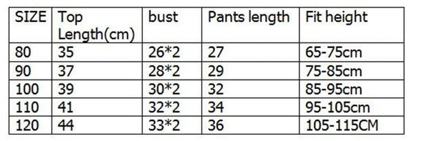 T-Shirt Short Pants 2pcs/sets