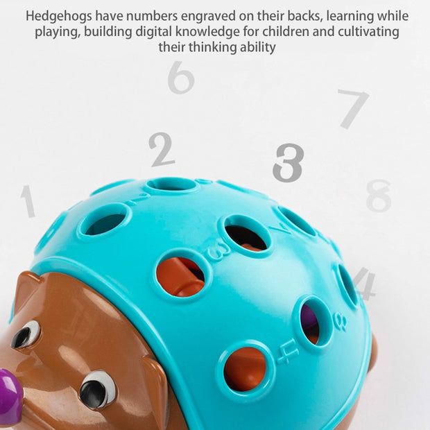 Early Education Toys