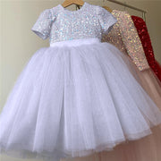 Little Girls Birthday Princess Dress for 3-8 Yrs